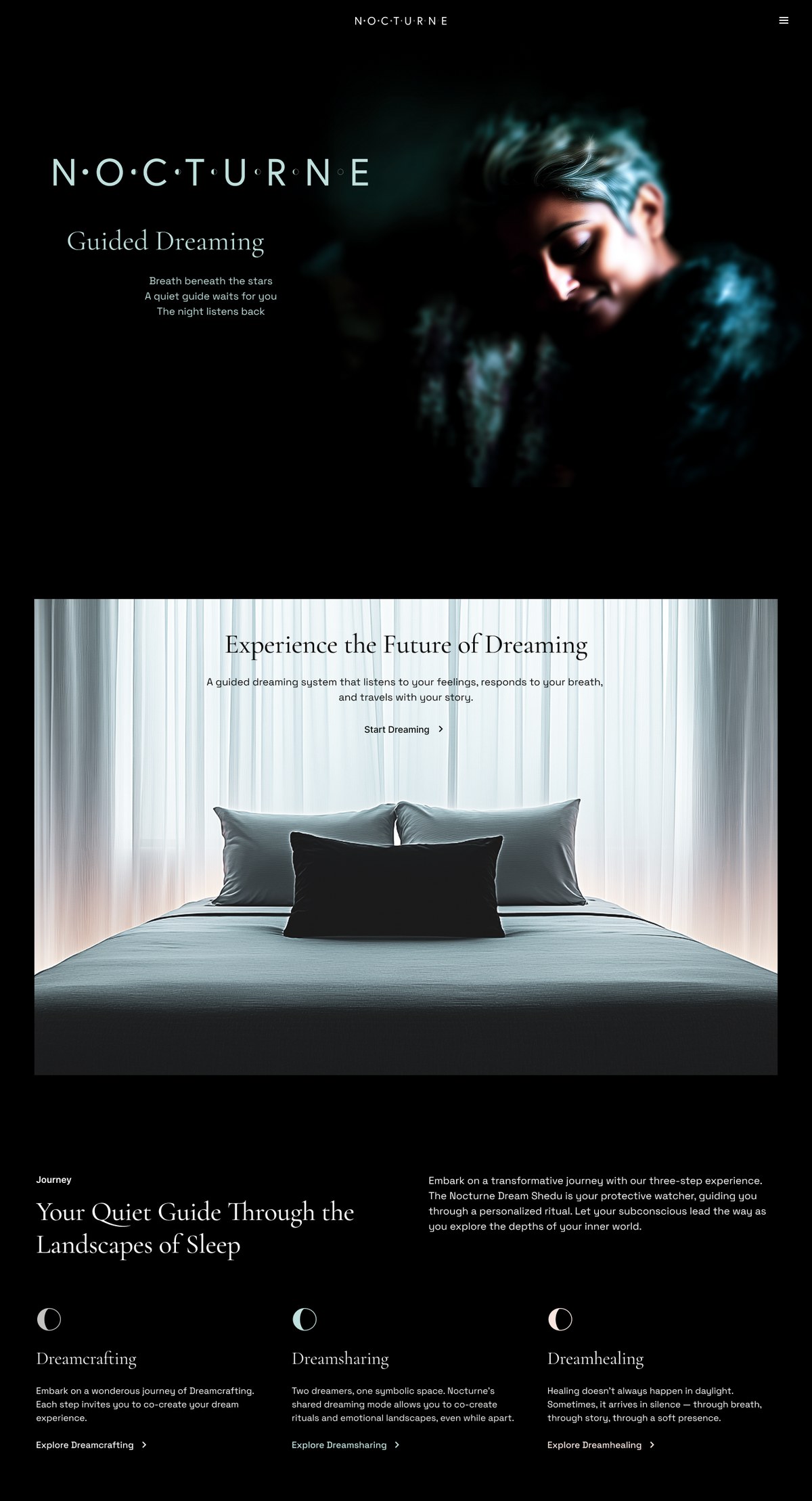 Nocturne website concept